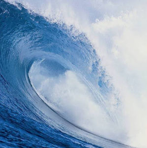 Meet your Posher, Bonnie